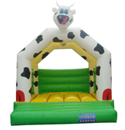 bouncer inflatable